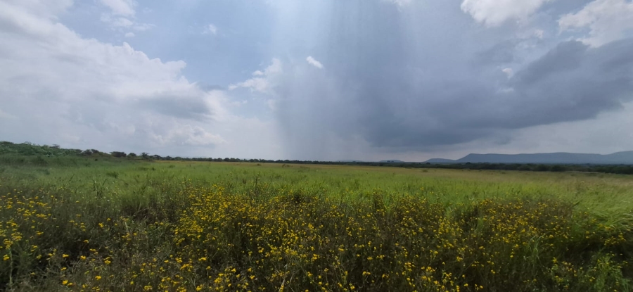 0 Bedroom Property for Sale in Koster North West